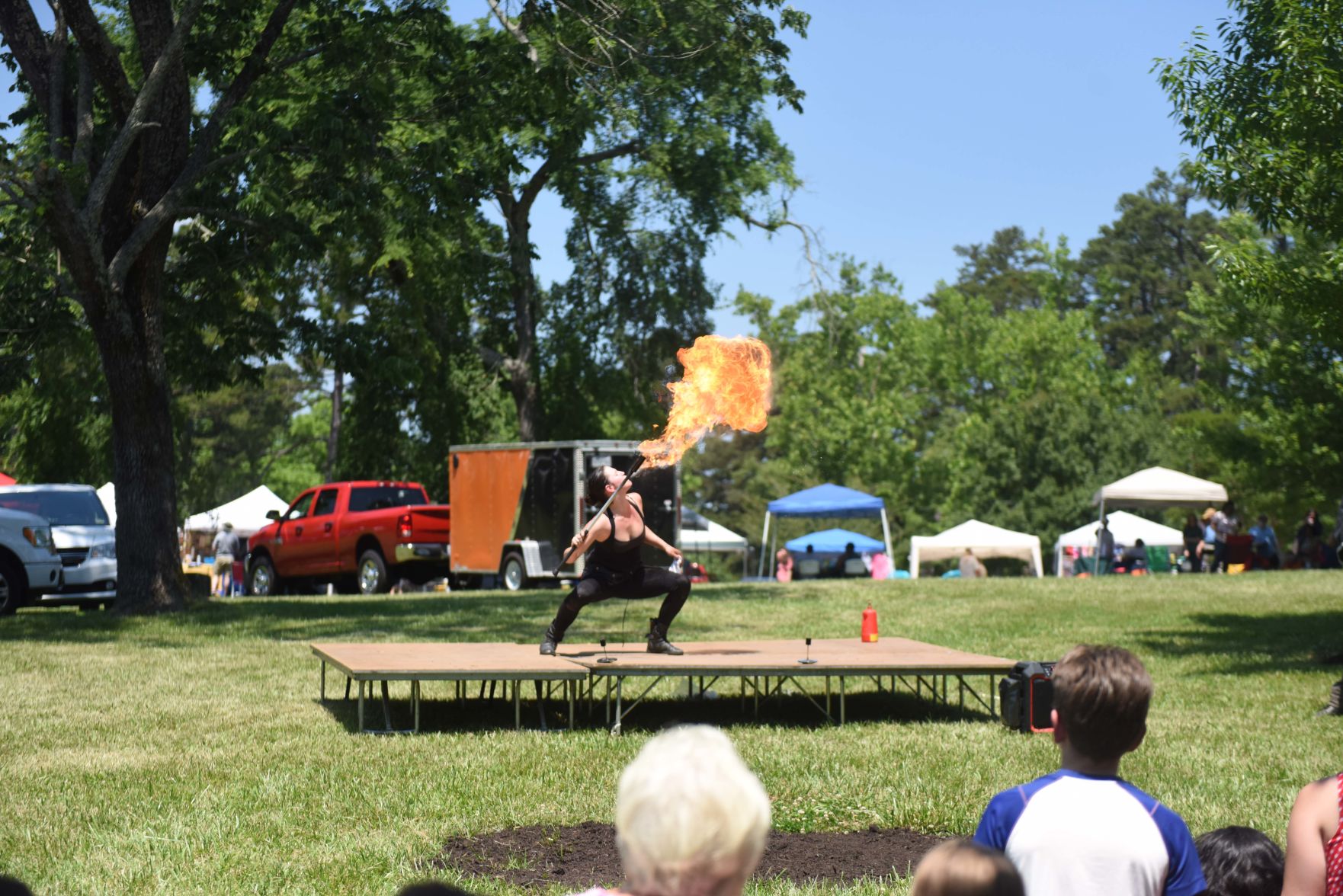 Festival in the Park